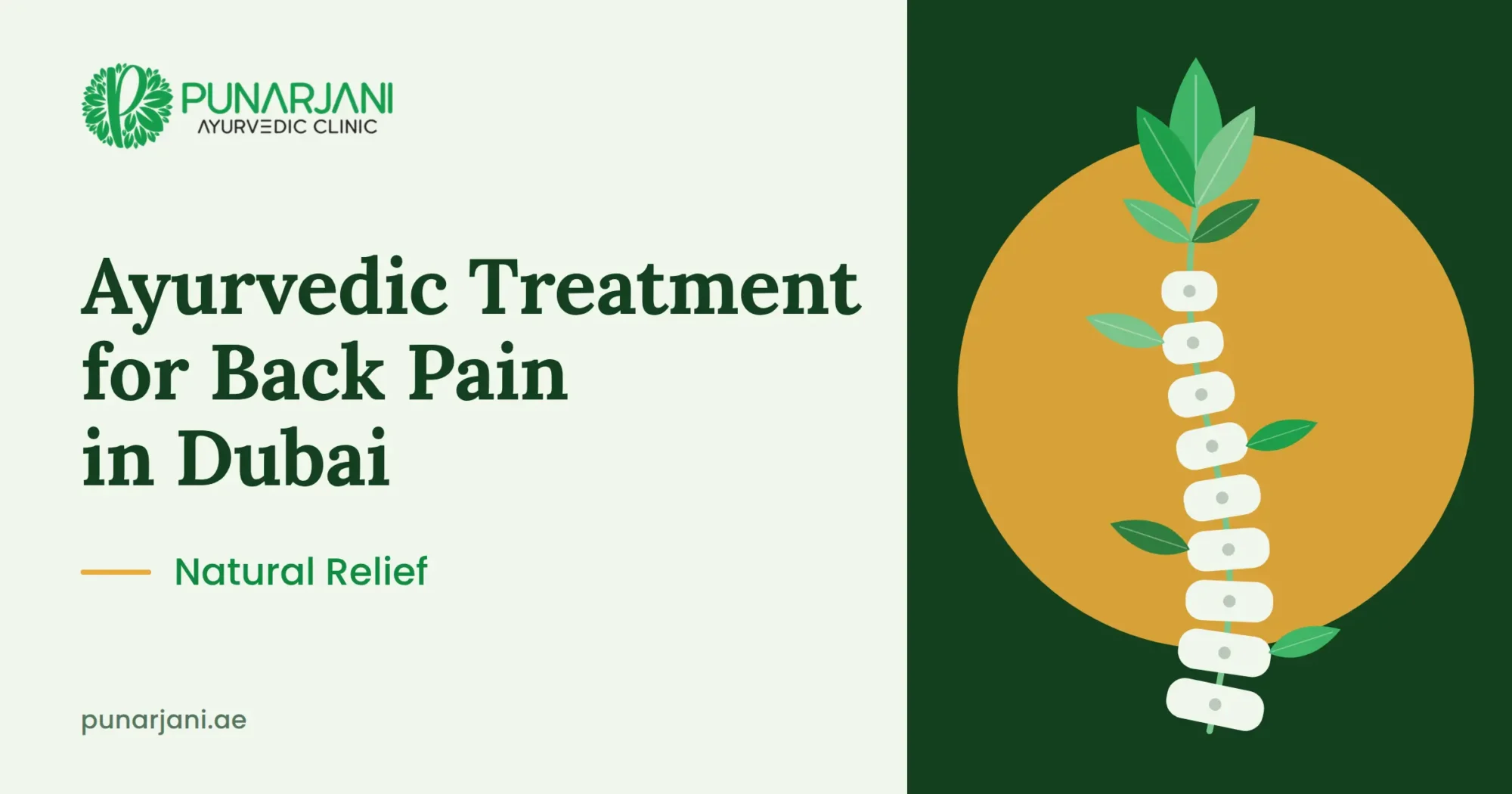 Ayurvedic treatment for back pain in Dubai: Punarjani Ayurvedic Clinic logo beside a spine growing into a leafy herbal stem